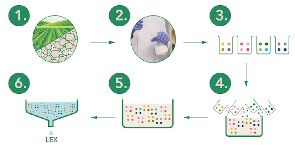Khám Phá Quy Trình Sản Xuất Postbiotics: Bí Quyết Tạo Nên Sức Khỏe Vượt Trội Quy trình sản xuất Postbiotics
