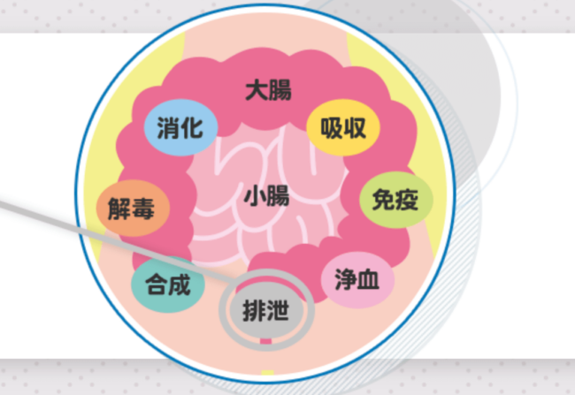 bài tiết độc tố