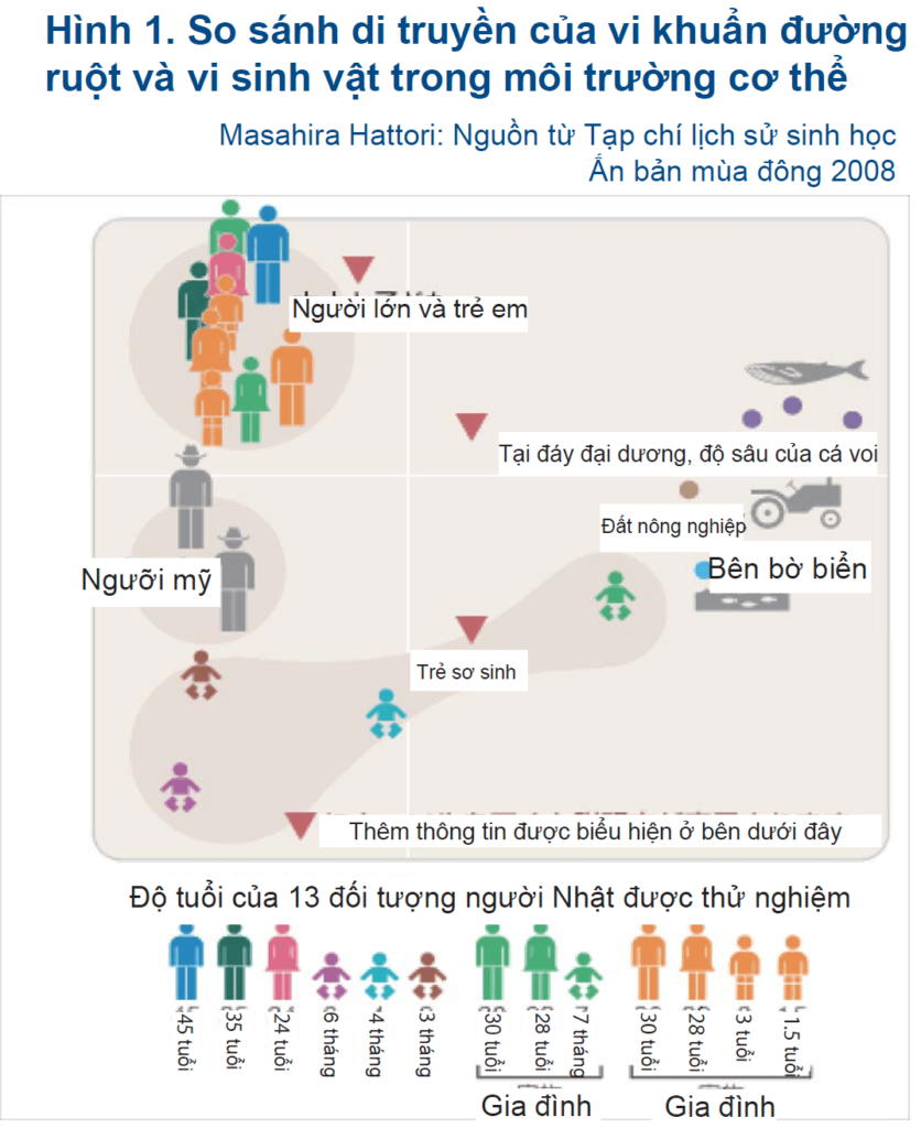 Phát triển hệ lợi khuẩn