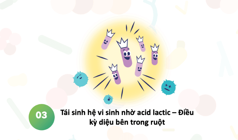 hệ vi sinh đường ruột - 4