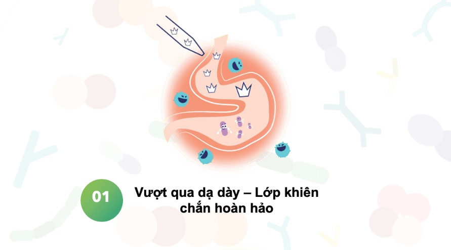 he vi sinh duong ruot -1