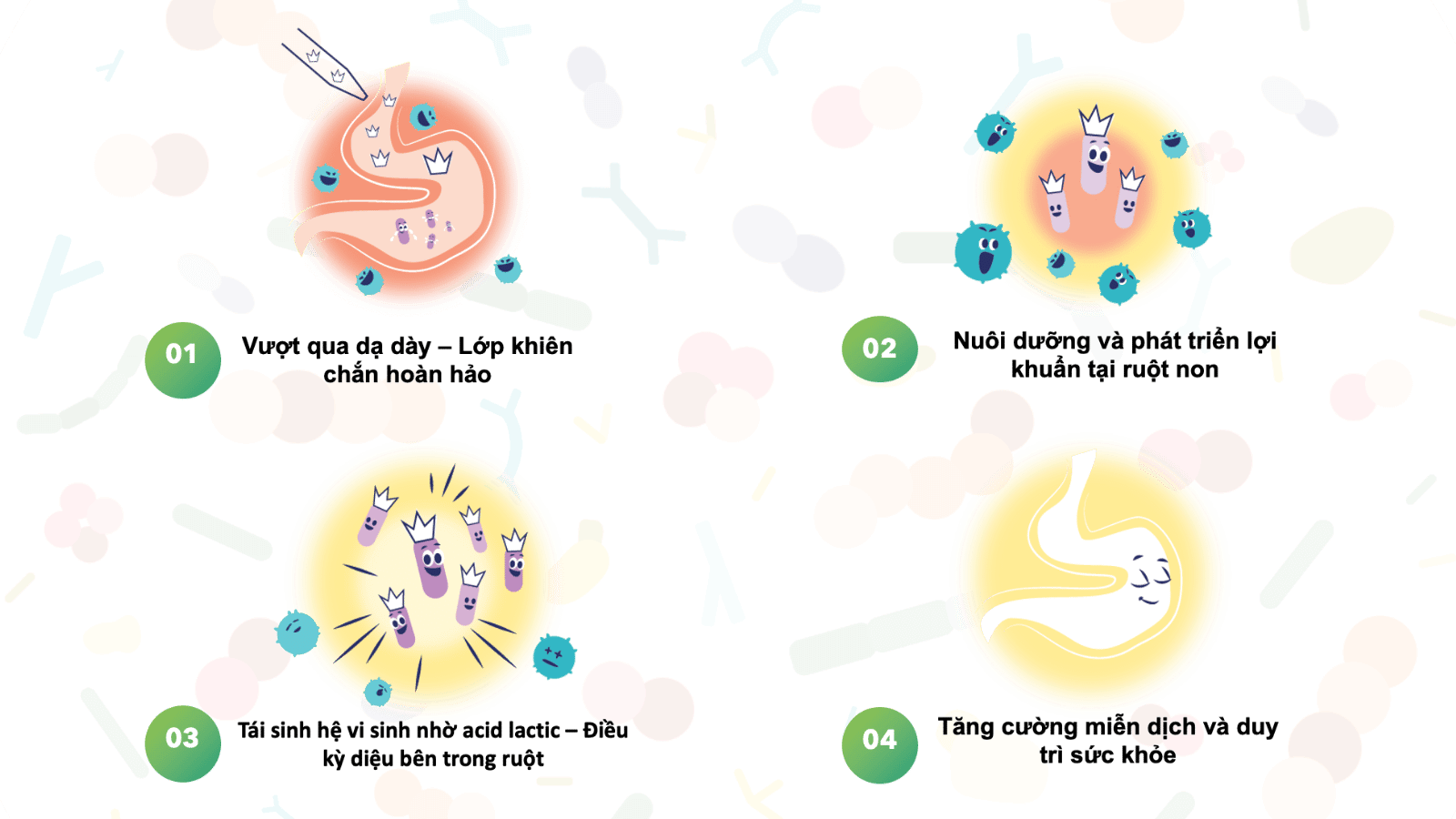 He vi sinh duong ruot