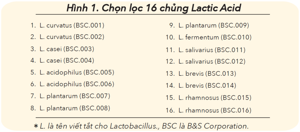 Quy trình sản xuất Postbiotics