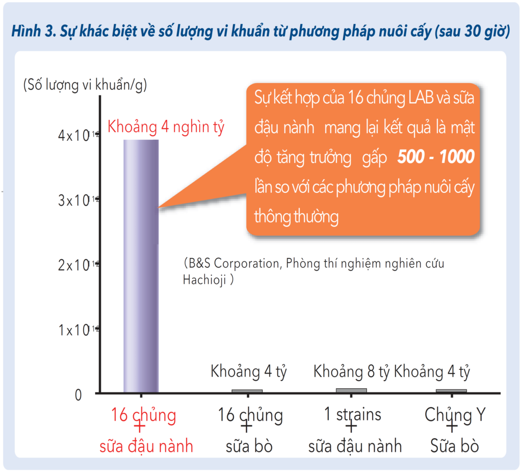 Quá trình sản xuất Postbiotics