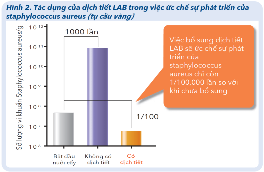 Quy trình sản xuất Postbiotics