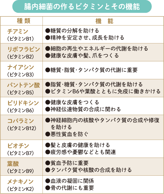 Chức năng ruột: tổng hợp - 1