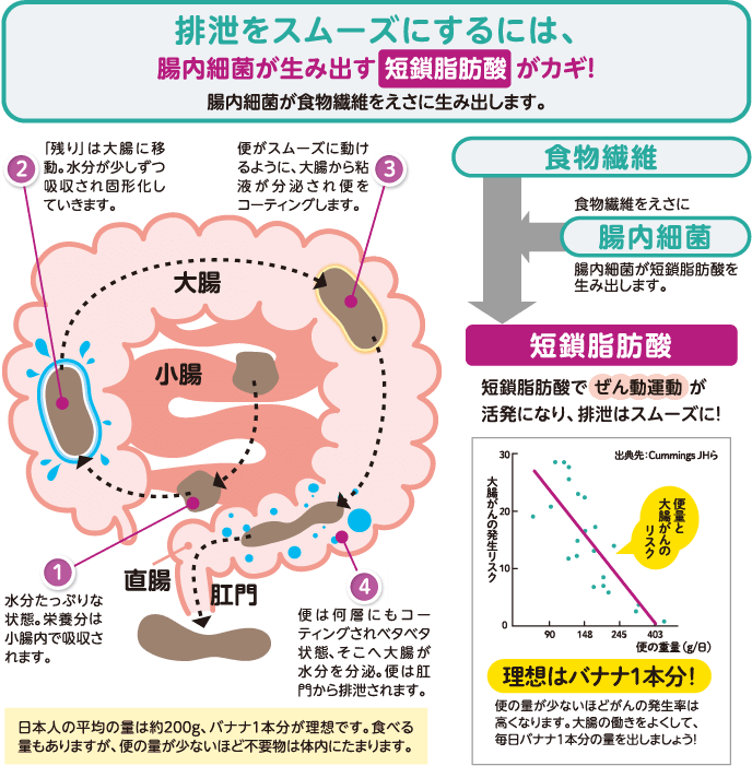Bài tiết độc tố
